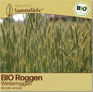 Samenliebe BIO Roggen Samen - Gründünger Winterroggen - winterhart - samenfestes BIO Saatgut bei Amazon bestellen