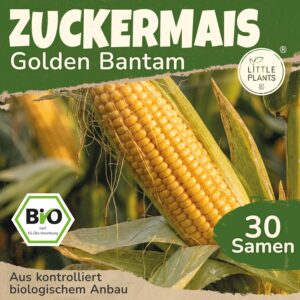 Bio Mais Samen Golden Bantam Zuckermais - 30 Samen bei Amazon bestellen