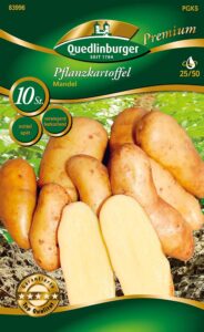 Quedlinburger 83996 Kartoffel Mandel (10 Stück) (Pflanzkartoffeln) bei Amazon bestellen