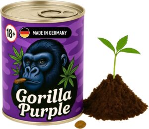 Cannabis Anbau Starter-Kit-Set für Anfänger (GSC) bei Amazon bestellen