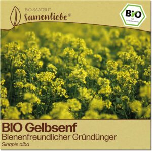 Gelbsenf Samen bei Amazon bestellen