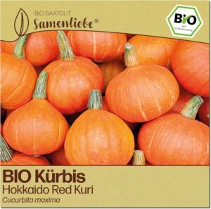 Hokkaido Red Kuri - samenfestes BIO Saatgut