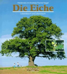 Die Eiche